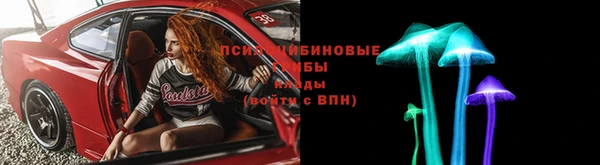 спиды Алзамай