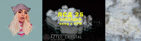 спиды Алзамай