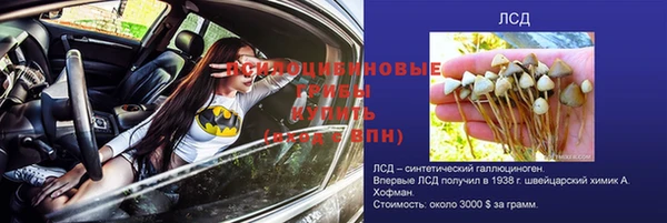 спиды Алзамай