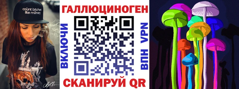 Галлюциногенные грибы Psilocybine cubensis  Сясьстрой 